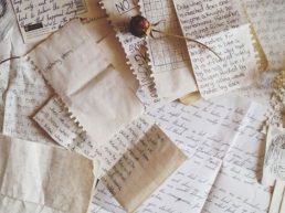 A Escritora de Cartas de Amor